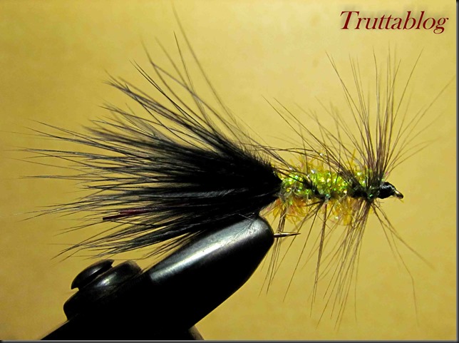 Woolly Bugger (2 of 3)