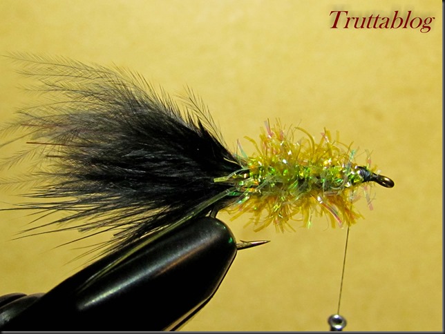 Woolly Bugger (21 of 28)