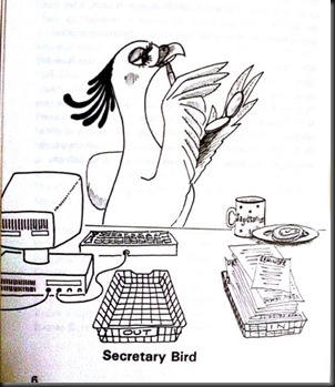 The secretary bird