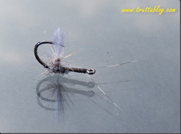 Reverse dry flies (1 of 1)-2