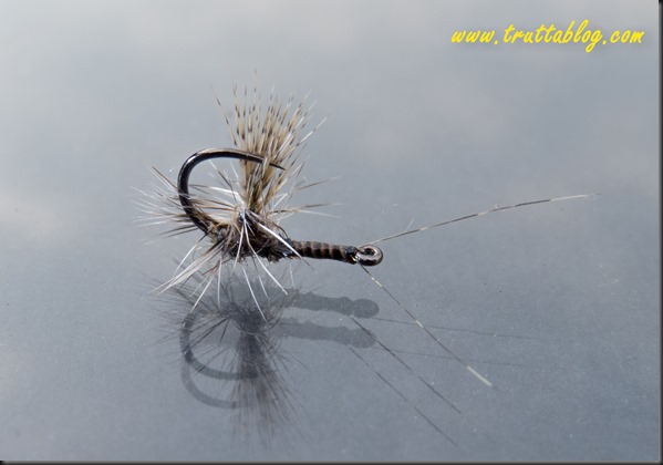 Reverse dry flies (1 of 1)