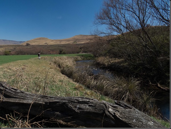 Umgeni River (16 of 17)