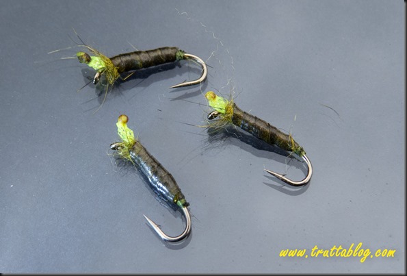 peeping caddis (1 of 1)-2