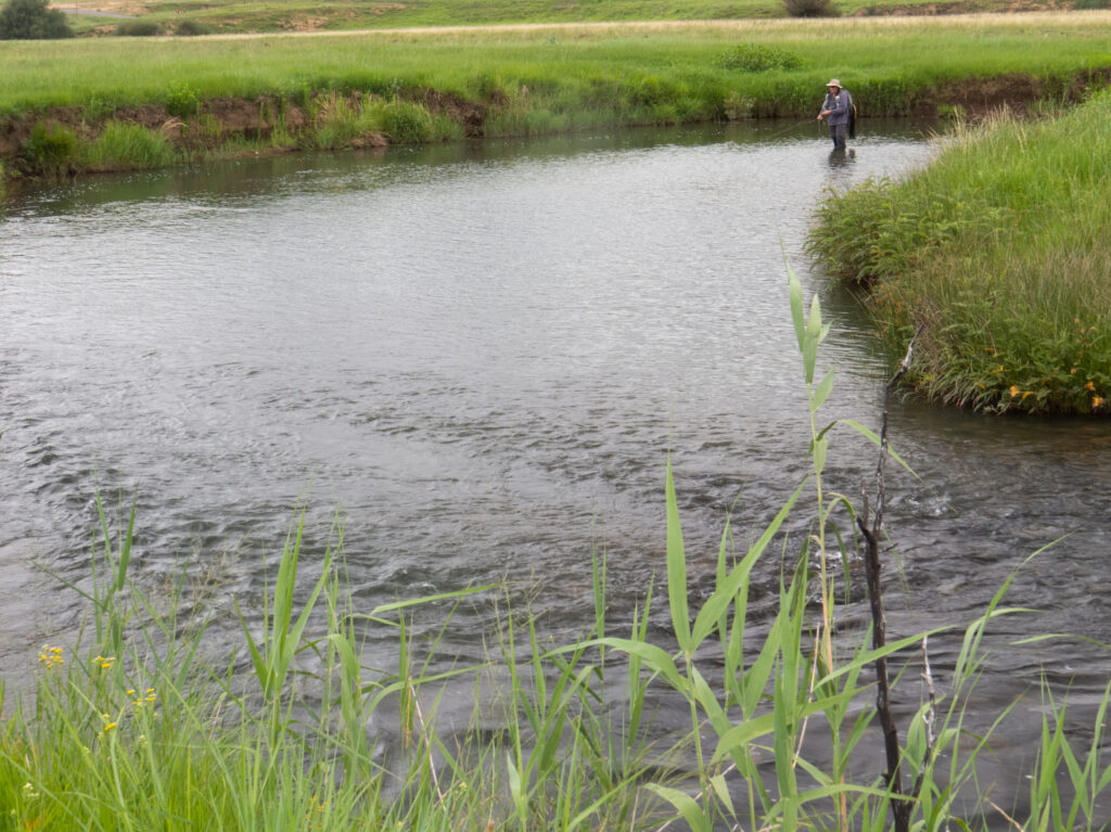 The Trout Streams of KwaZulu Natal - Truttablog