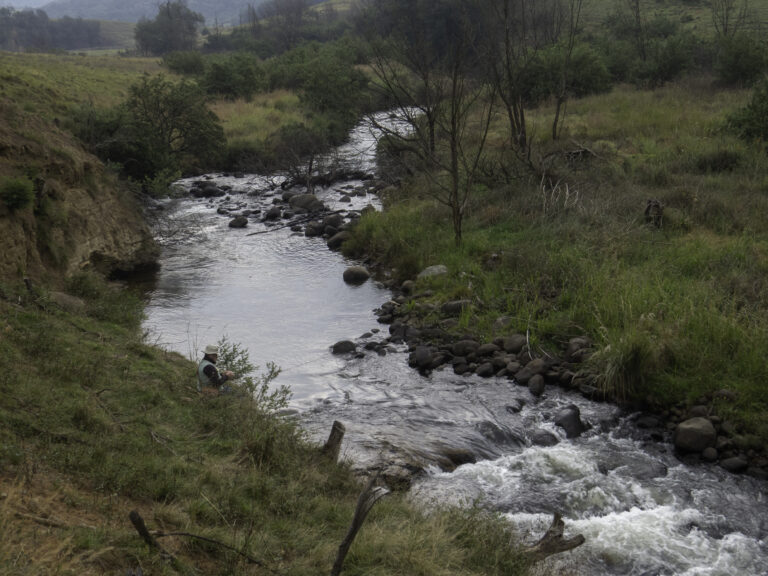 Upper Umgeni River-30