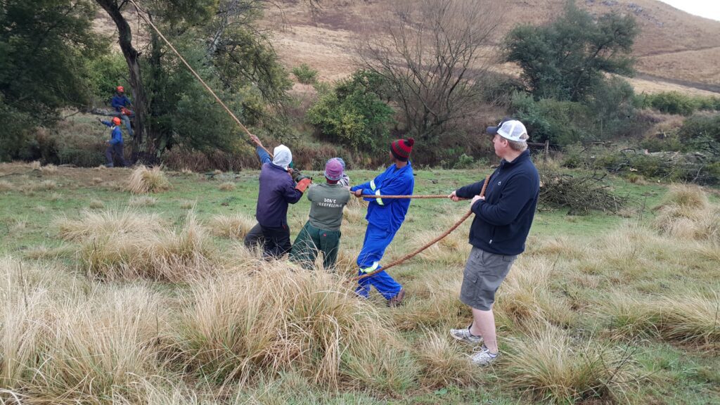 #BRU river clearing