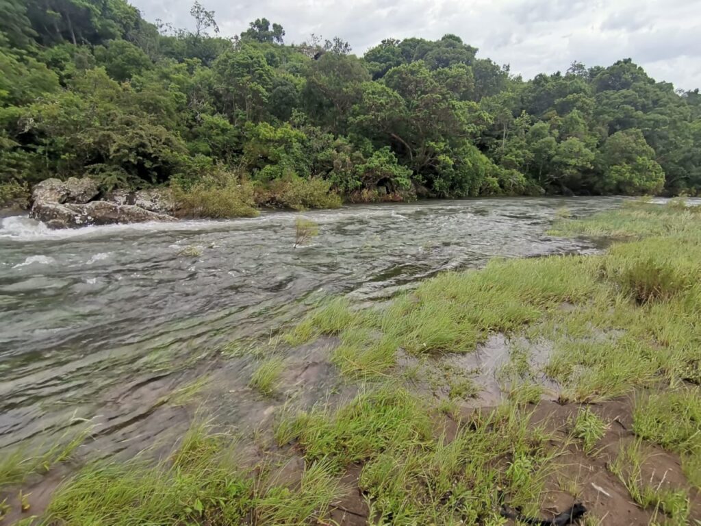 Bushmans River