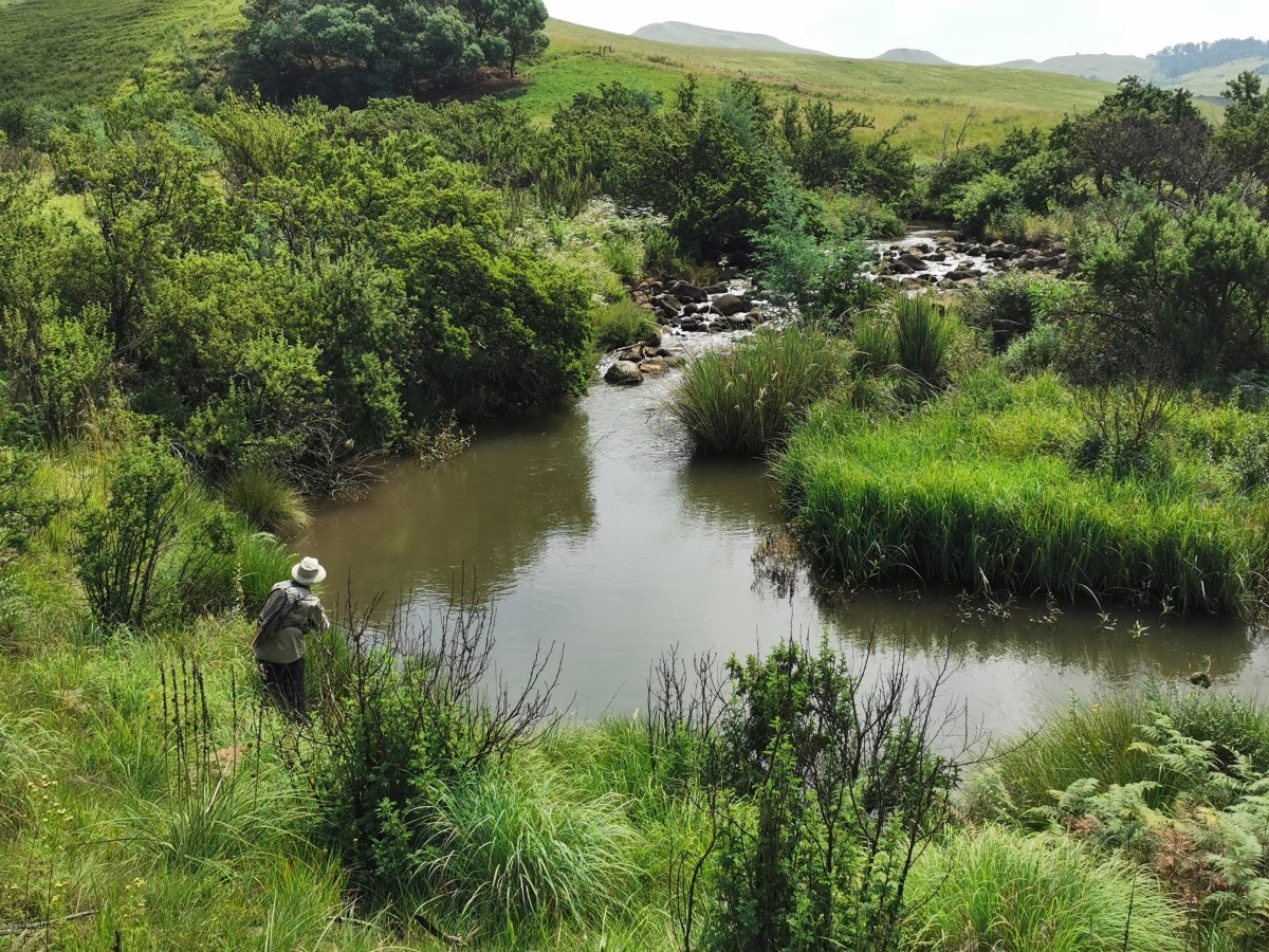 Furth Tributary