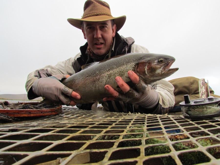 Rainbow Trout