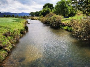 a Trout stream