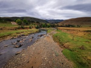 Lotheni River 14 Oct 2023