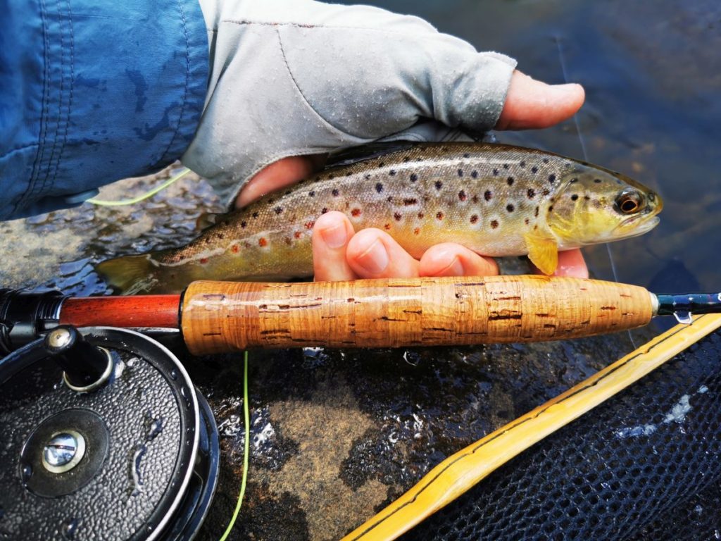 Truttablog - Waters & words : a celebration of flyfishing