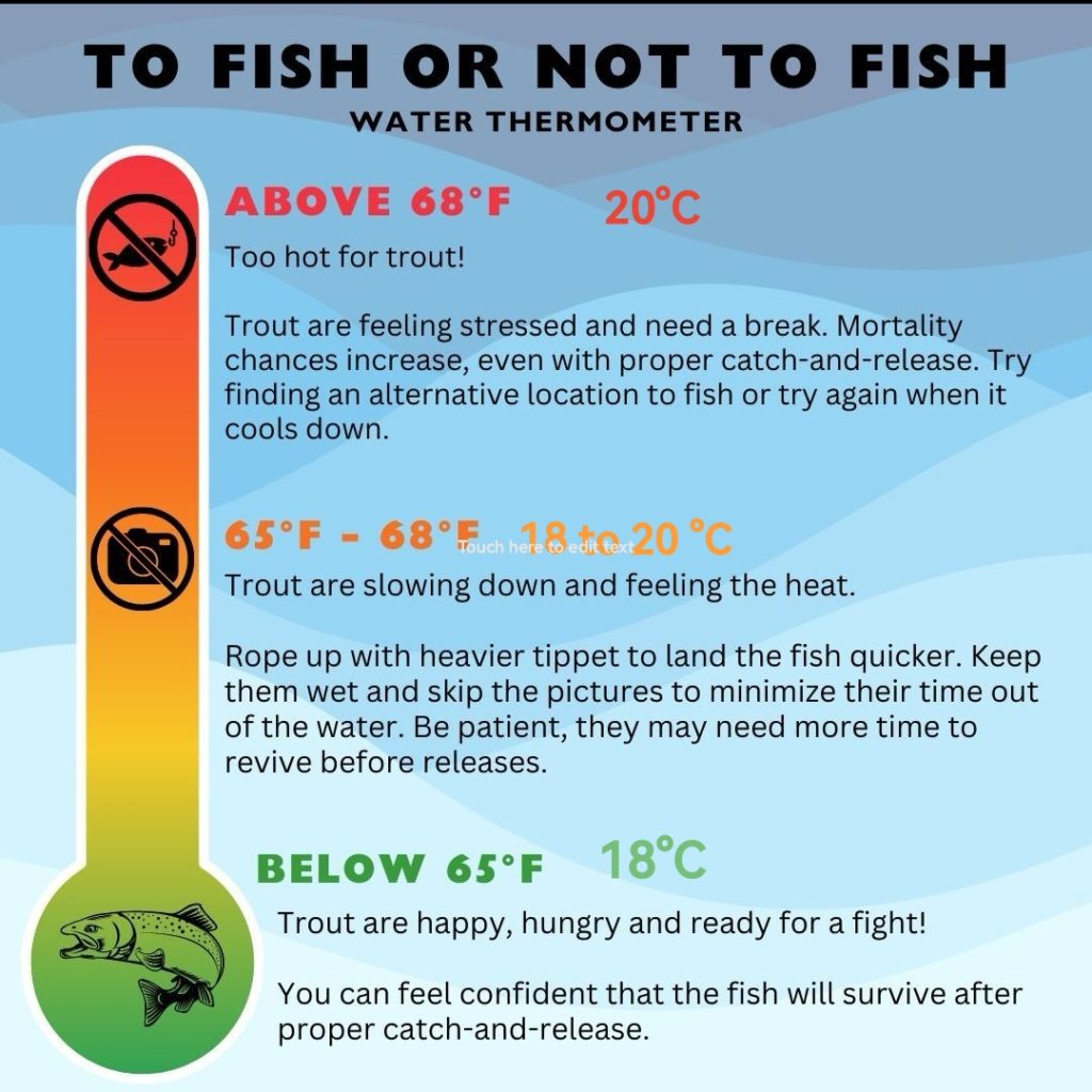 a guide on when to stop fishing for Trout based on water temperature