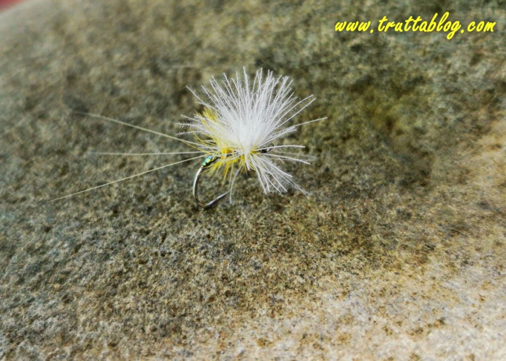 A dry fly tied for use as a dropper