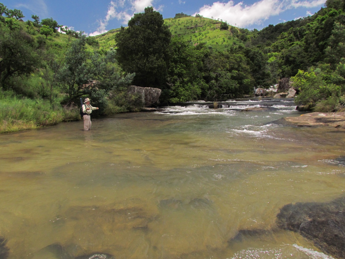 a scene of flyfishing on the Ncibidwana River in KZN province of South Africa