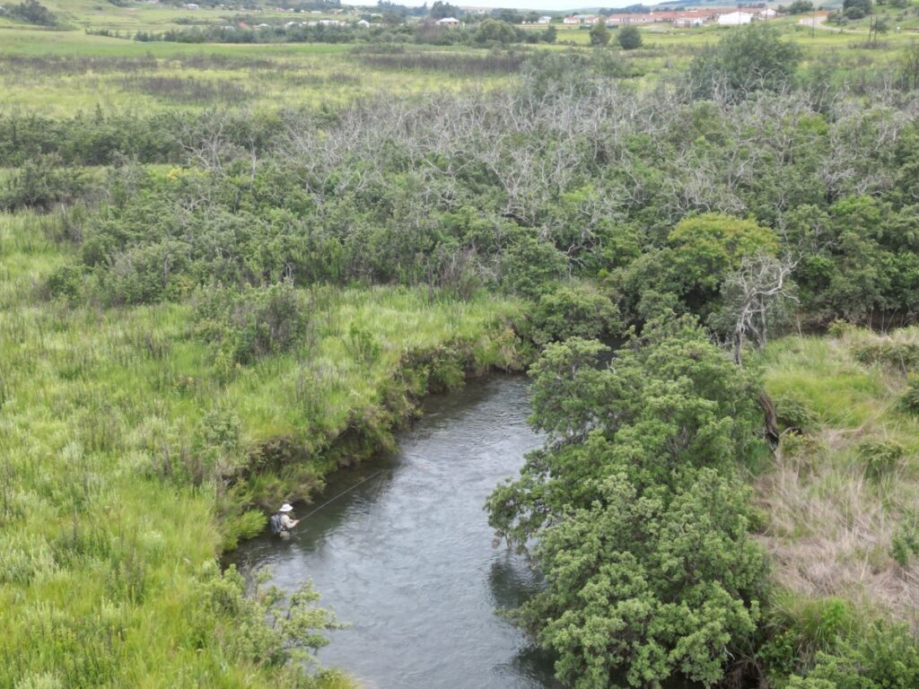 a lone flyfisherman on a wooded stream