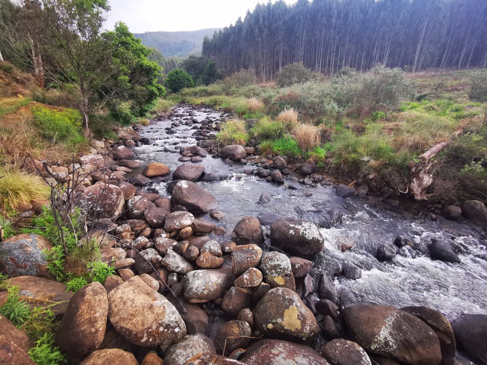 The Poort Stream, and upper uMngeni tributary