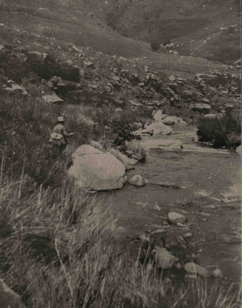 Belmont Farm, Inzinga River circa 1916