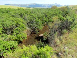 The Elands River near Boston in KZN