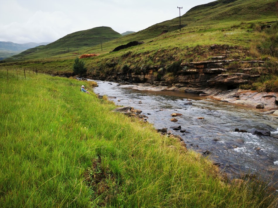 A Trout fishing scene on the Hlambamasoka River