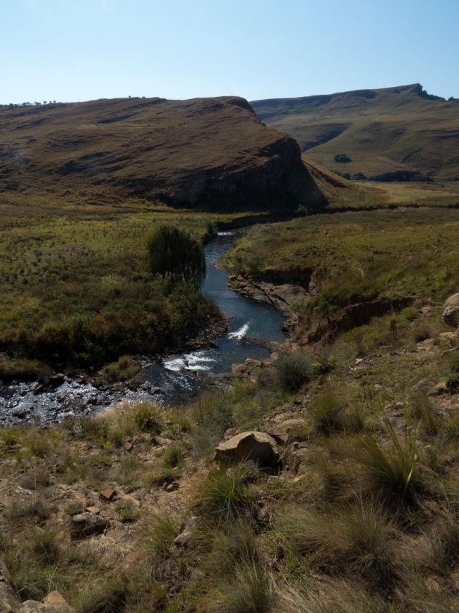 The Inzinga River on Belmont Farm