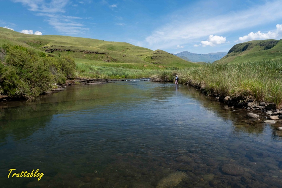 A pool on the Lotheni River in the Drakensberg