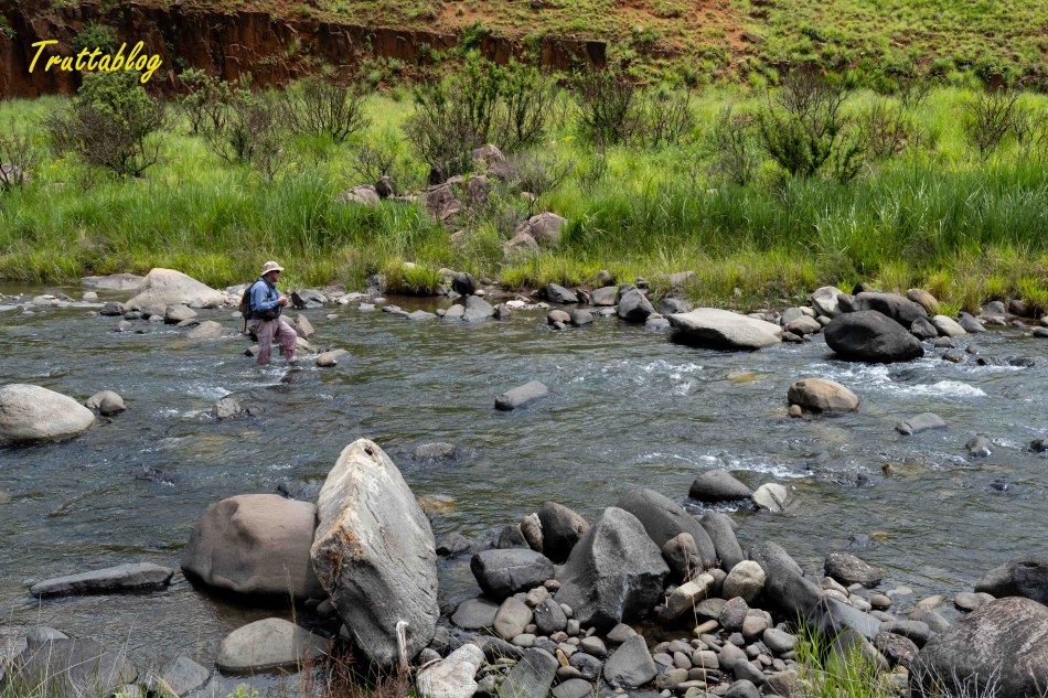 A Drakensberg Trout stream