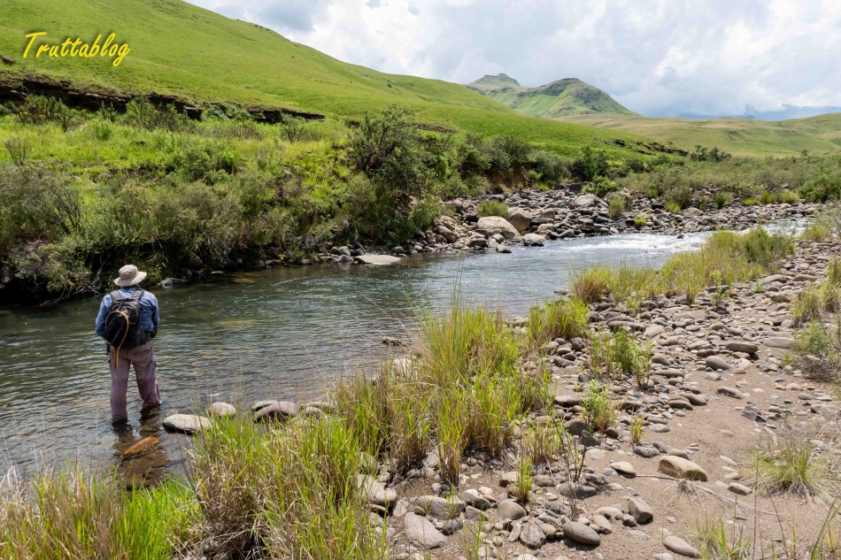 a flyfisher on the Lotheni River in the Drakensberg