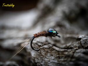 a flashback pheasant tail nymph