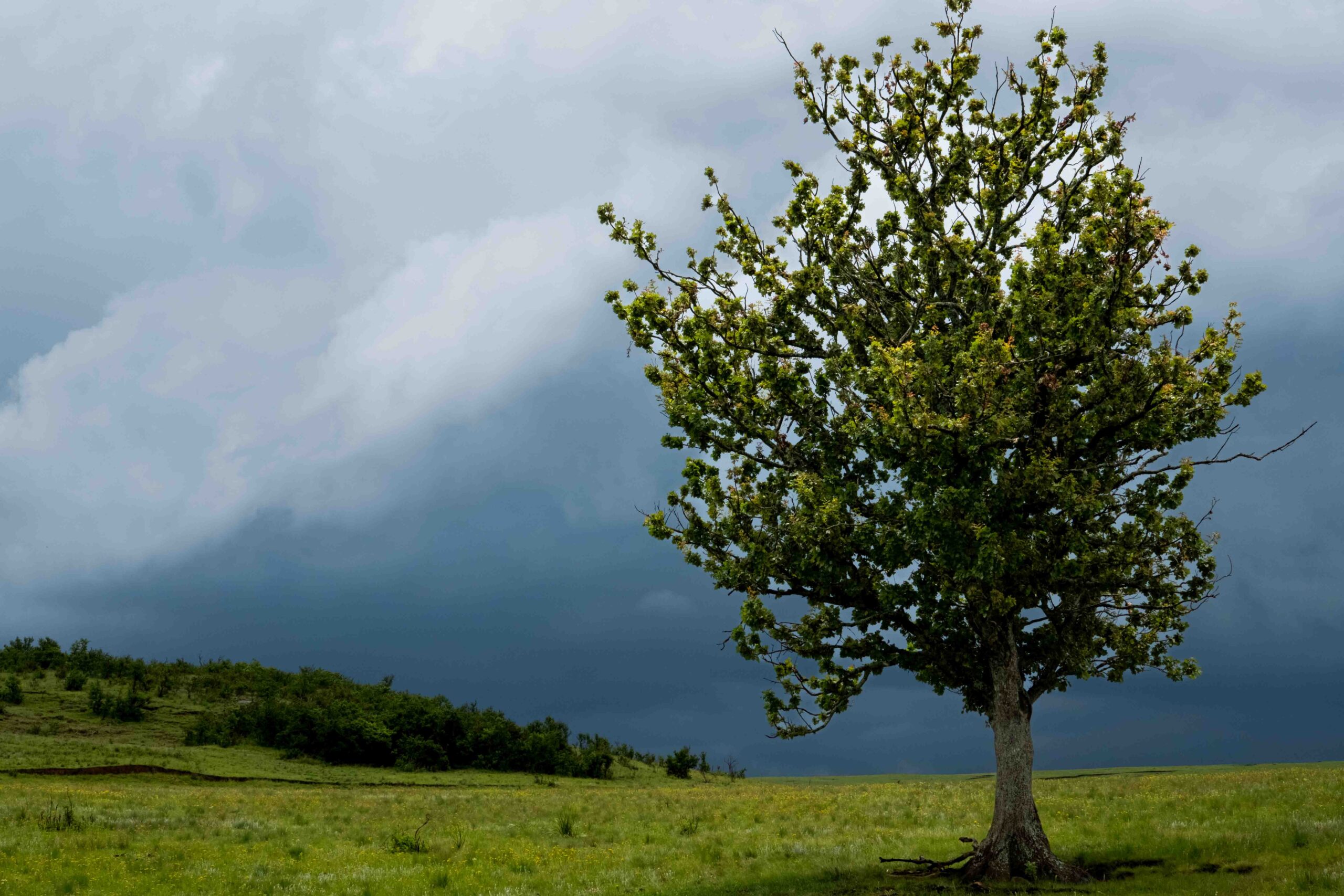 dark stormy skies