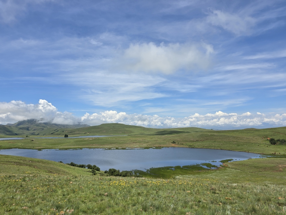 a trout lake in bright sunshine