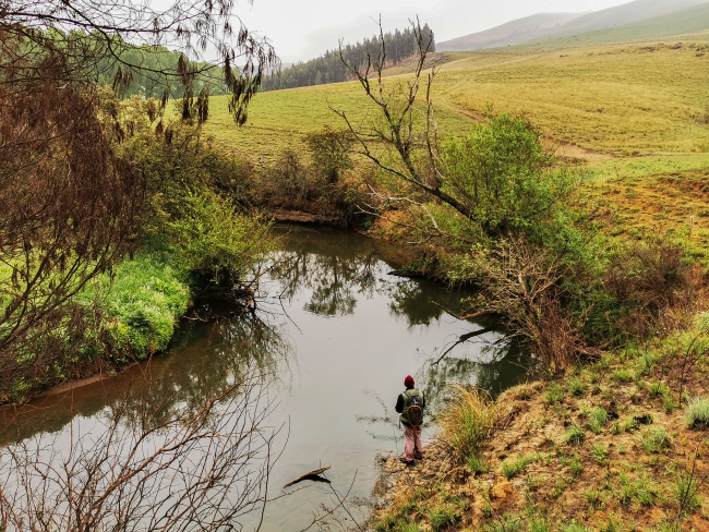 A Trout fisherman on the uMngeni River