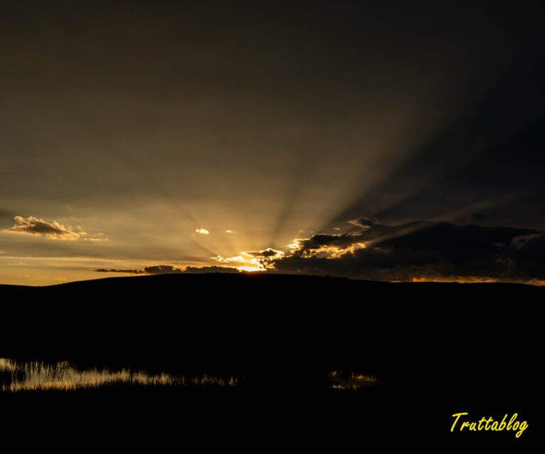 sunset over a trout lake