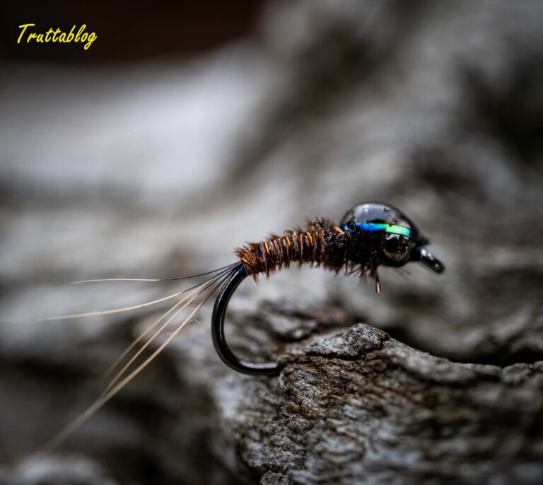 A flashback pheasant tail nymph