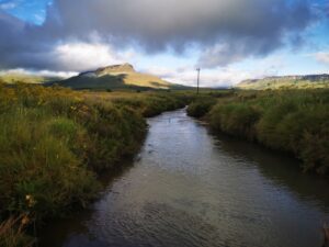 The Reekie Lynn stream