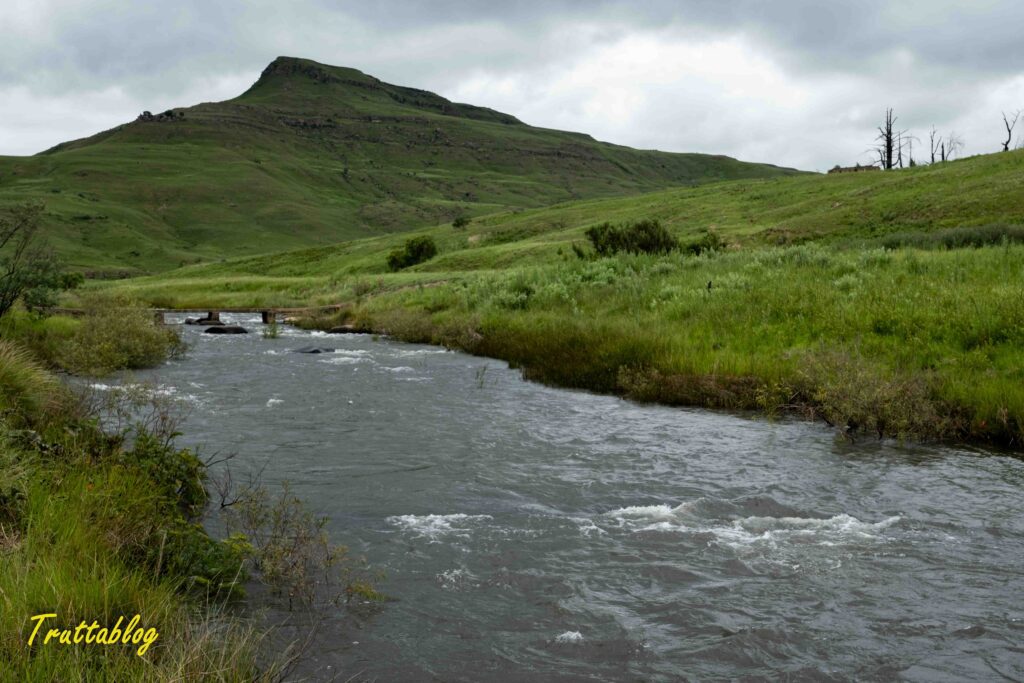 The Bushman's river at Ezibhukweni flowing full