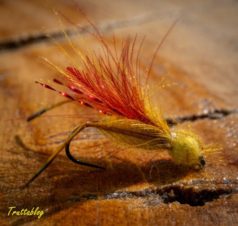 a hopper imitation tied by Andrew Fowler with CDC feathers