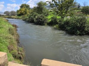 Riverside 29 March 2025  Truttablog