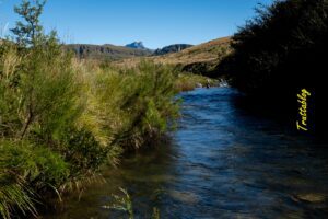 Autumn Flyfishing  Truttablog KZN River conditions for fly fishers