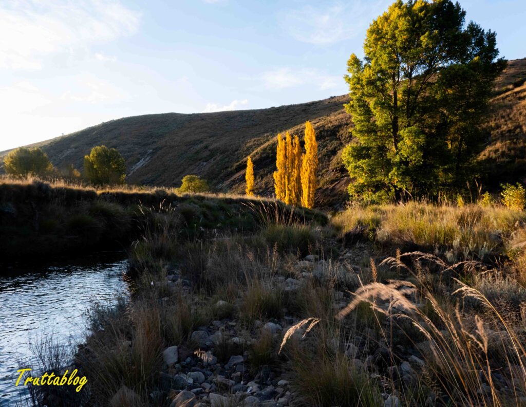 a late afternoon view of the Sterkspruit