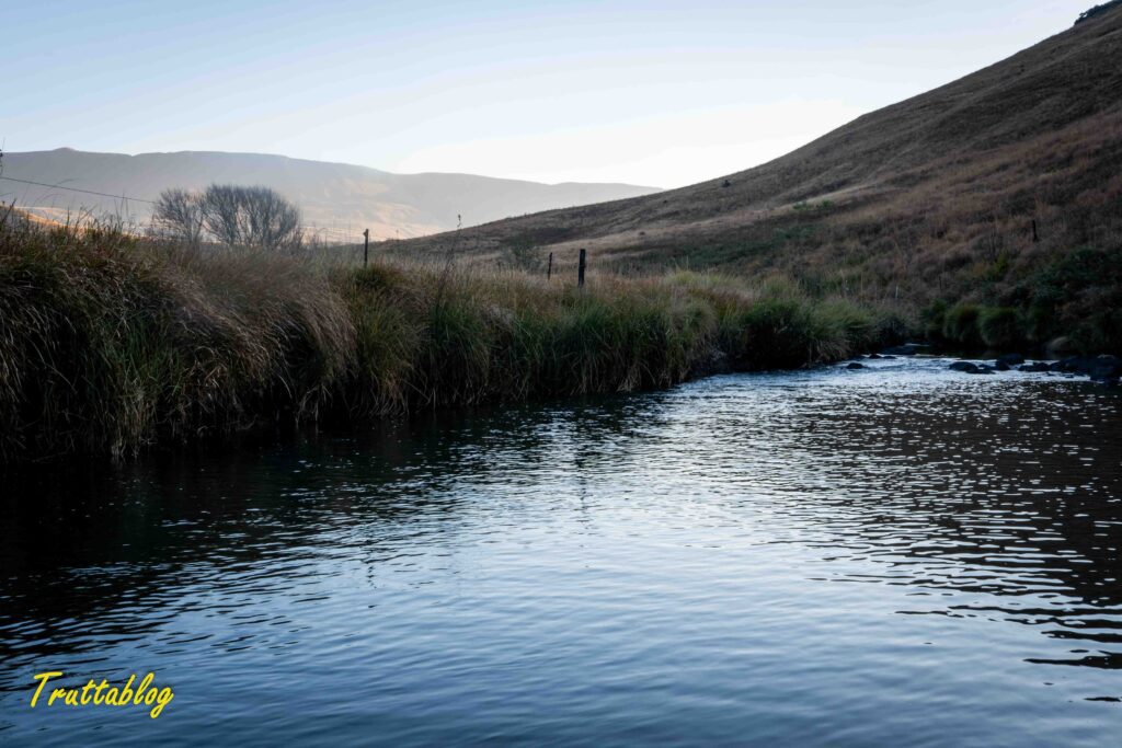 evening on the uMngeni River