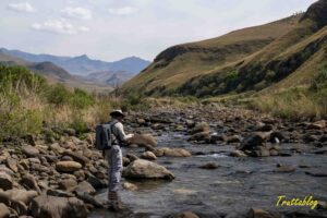 Skinny water  Truttablog fly fishing a Drakensberg river in low water conditions