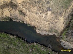 uMngeni River