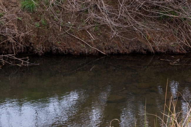 Brigadoon riverbed Truttablog