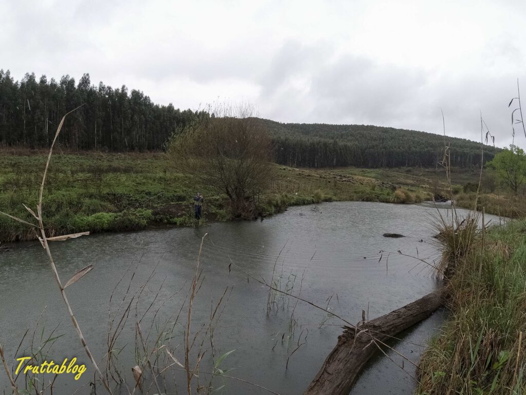 Fishing in the rain