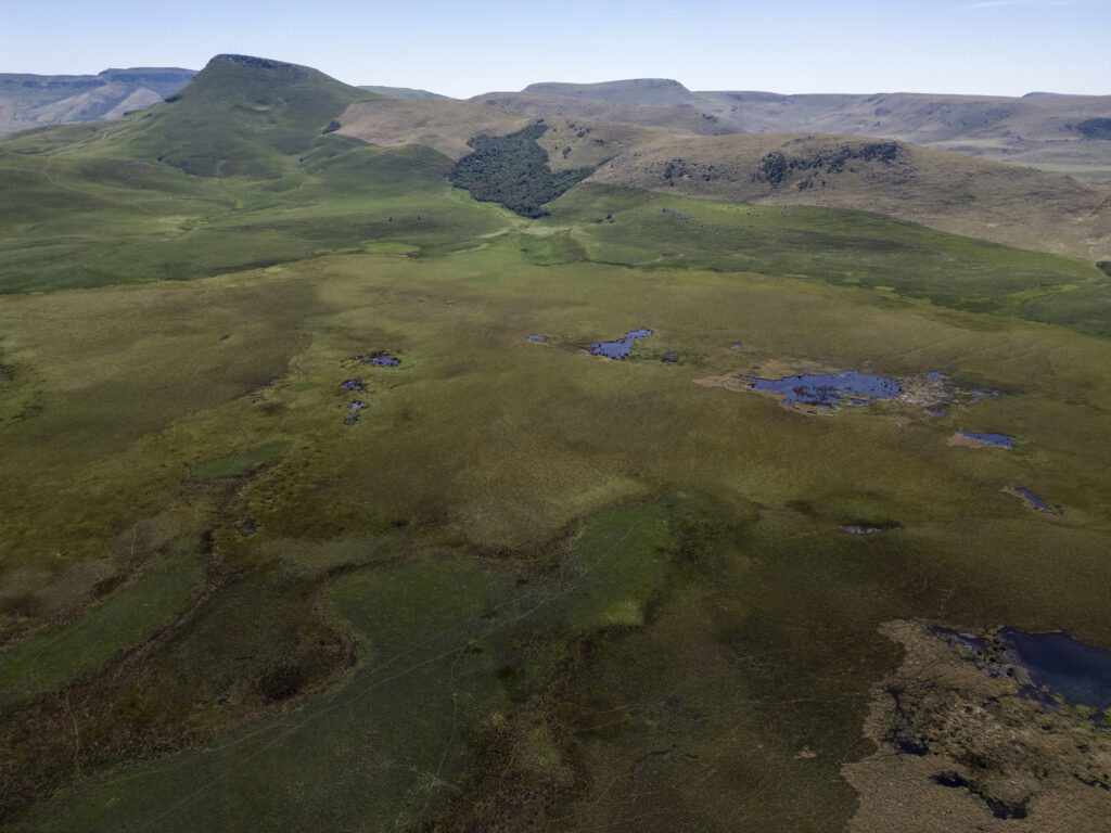 The source of the uMngeni River