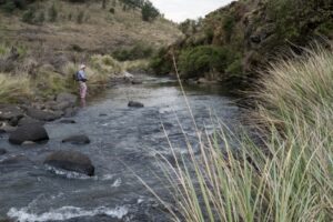 uMngeni upper  Truttablog