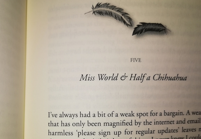 Richard Gorodecky writing