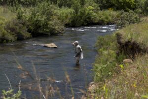 A fly angler on the Mooi River