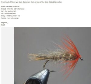 The Hot Cat fly by Jack Blackman